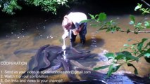 Top 10 Amazing Viral Videos 2017 Fish Farm China Russia Cambodia Net Traditional Fishing Sie