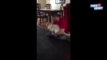 Cute Dog Refuses to Leave Owners Lap Video 2016 - Daily Heart Beat