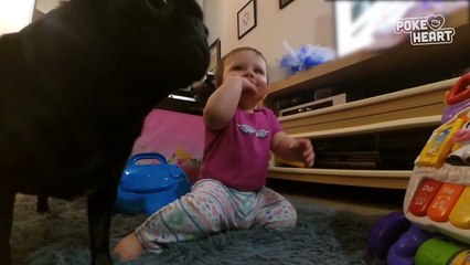 Dad Makes Daughter Laugh Video 2016 - Daily Heart Beat