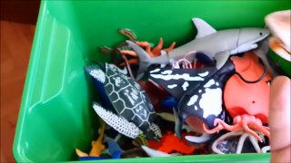 Shark Toys Kids Toy Box Sea A