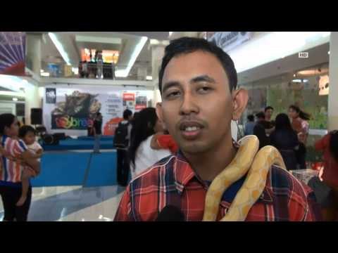 IMS - Ratusan jenis Reptil dipamerkan