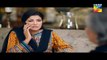 Dil e Jaanam Episode 16 Hum TV Drama   16 June 2017(360p)