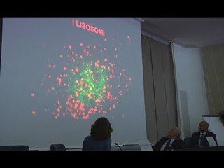 Cancro, scoperto il sistema di crescita delle cellule tumorali al Tigem di Pozzuoli (16.06.17)