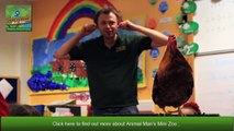 Meet Animal Man Mini Zoo Team _dsa Mobile Petting Zoo _ Chi