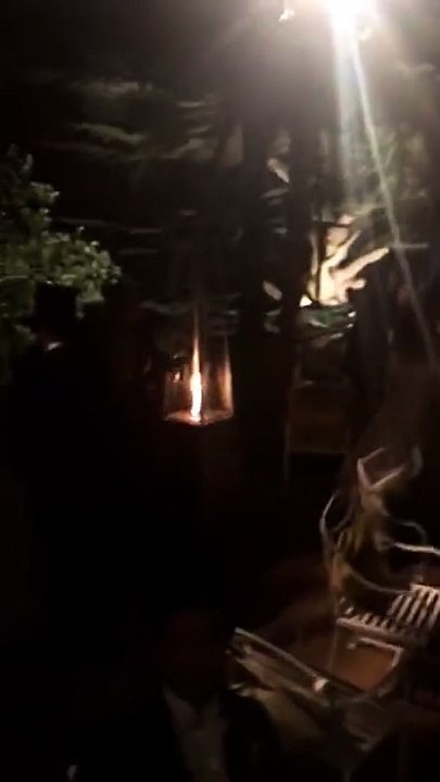 (Adoring Margot Robbie) Margot pour The Greatest Showman