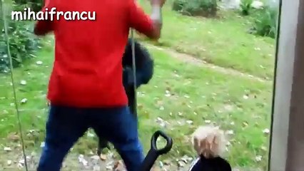 Top 10 Funny Monkey Videos Compilation 2017 __ NEW HD