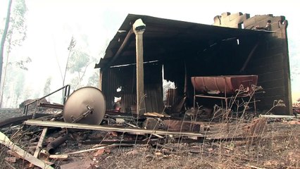 Portugal: gigantesque incendie de forêt, 57 morts