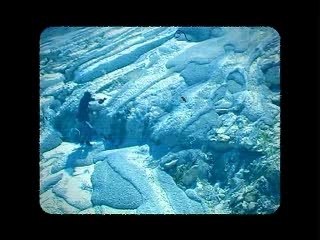 Antonia Font-extraterrestres