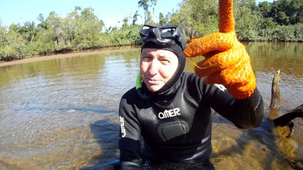 Mergulhando em apneia contemplativa na foz do rio Ubatumirim, Ubatuba, nas ondas e areias da praia e mata ciliar, Ubatuba, SP, Brasil, 2017