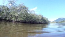 Mergulhando em apneia contemplativa na foz do rio Ubatumirim, Ubatuba, nas ondas e areias da praia e mata ciliar, Ubatuba, SP, Brasil, 2017