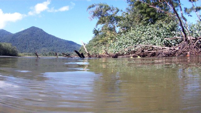 Mergulhando em apneia contemplativa na foz do rio Ubatumirim, Ubatuba, nas ondas e areias da praia e mata ciliar, Ubatuba, SP, Brasil, 2017