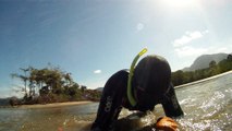 Mergulhando em apneia contemplativa na foz do rio Ubatumirim, Ubatuba, nas ondas e areias da praia e mata ciliar, Ubatuba, SP, Brasil, 2017