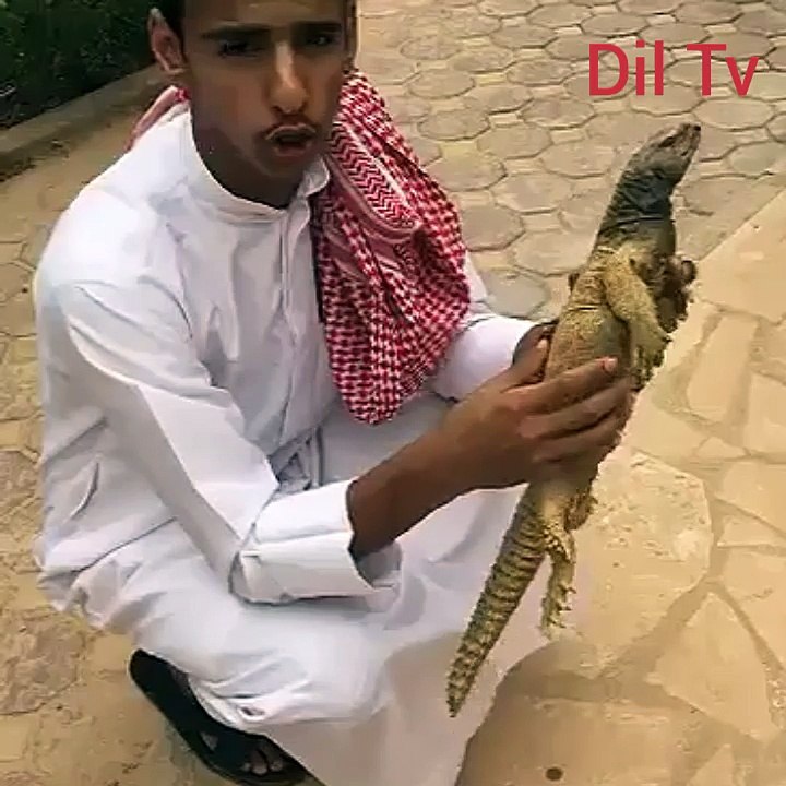 most funny in the world you can't stop laughing