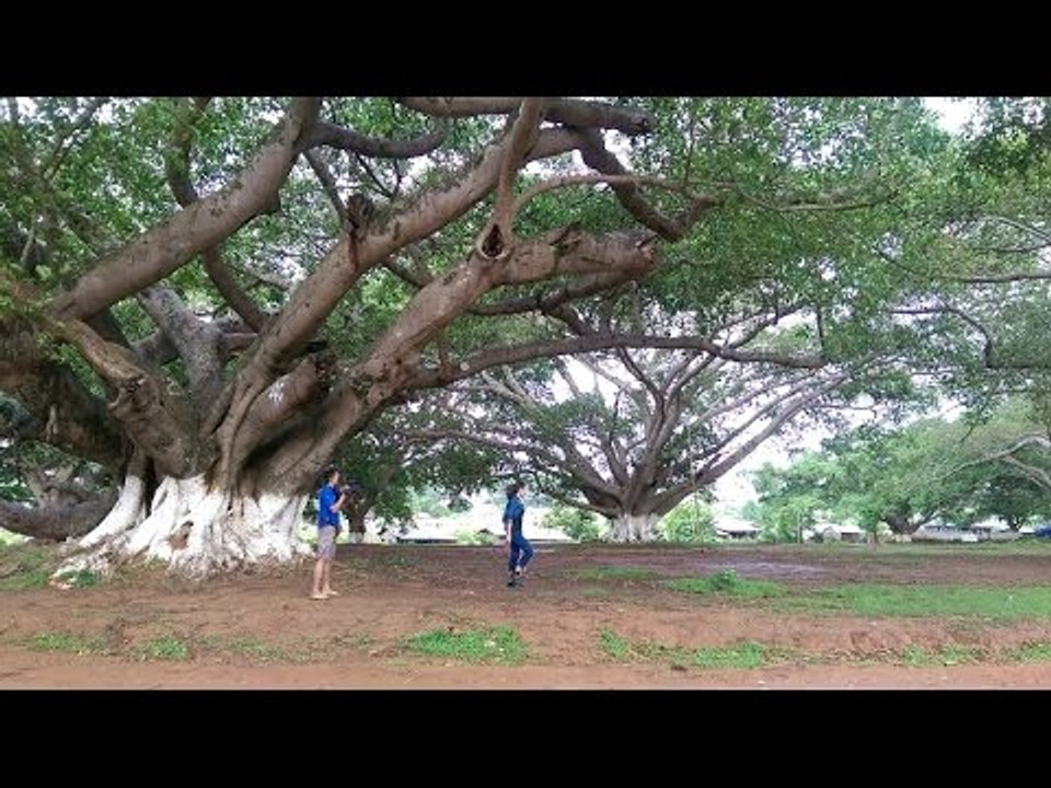 TASTY TRIP_ ပင္းတယၿမိဳ႕ရဲ႕အသည္းႏွလံုးေနရာမ်ား