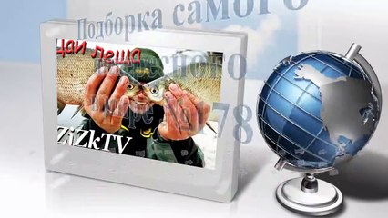 The most interesting video in the world (A fascinating and informative) #178