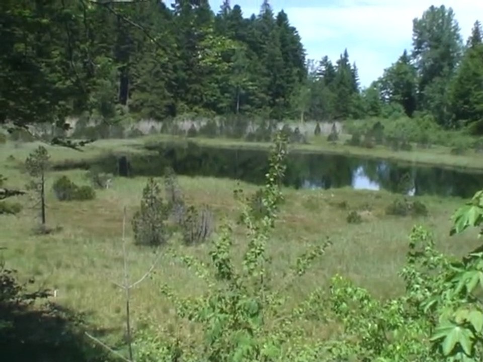 Pic de l'Oeilly 1547m -Belledonne - Séchilienne 38220