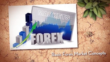 Best Social Trading Platform