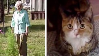 Pit bulls assault 97-year-old lady in garden, then her cat leaps to in front to save her