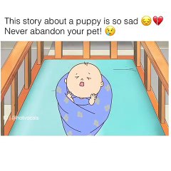 Happiness love doges  emotion