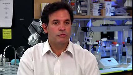 The Mind, Body and Brain Connection