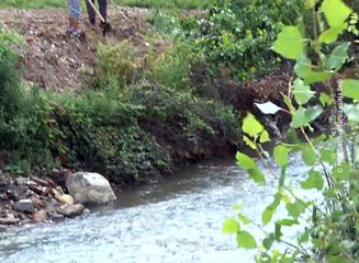 Osamdeset volontera u koritu Borske reke, 17. jun 2017. (RTV Bor)