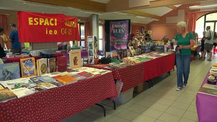 D!CI TV : un atelier manga et un dessinateur de Nice pour le salon du livre du Champsaur