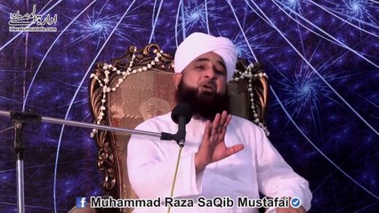 beautiful and nice stories of drunk people by maulana muhammad raza saqib mustafai