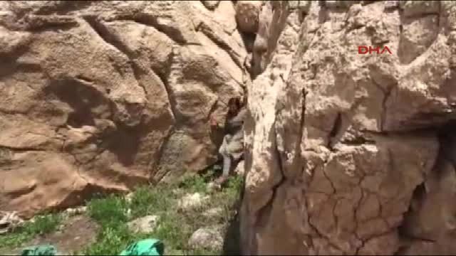 Siirt Herekol Dağı'nda Çatışma; 2 Terörist Ölü, 6 Terörist Teslim