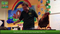 Meet Animal Man Min tting Zoo _ Childrens Parties Glasgow