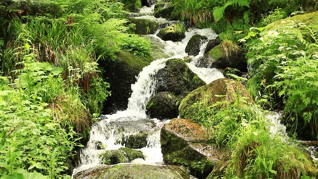 les Vosges - la Meurthe - Balades en France - guy peinturier -1