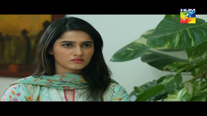 Woh Aik Pal Episode 15 HUM TV Drama 17 June 2017