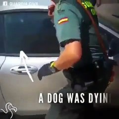 Shpetojne qenin e ngecur ne makine