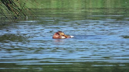 Nettoyage de printemps