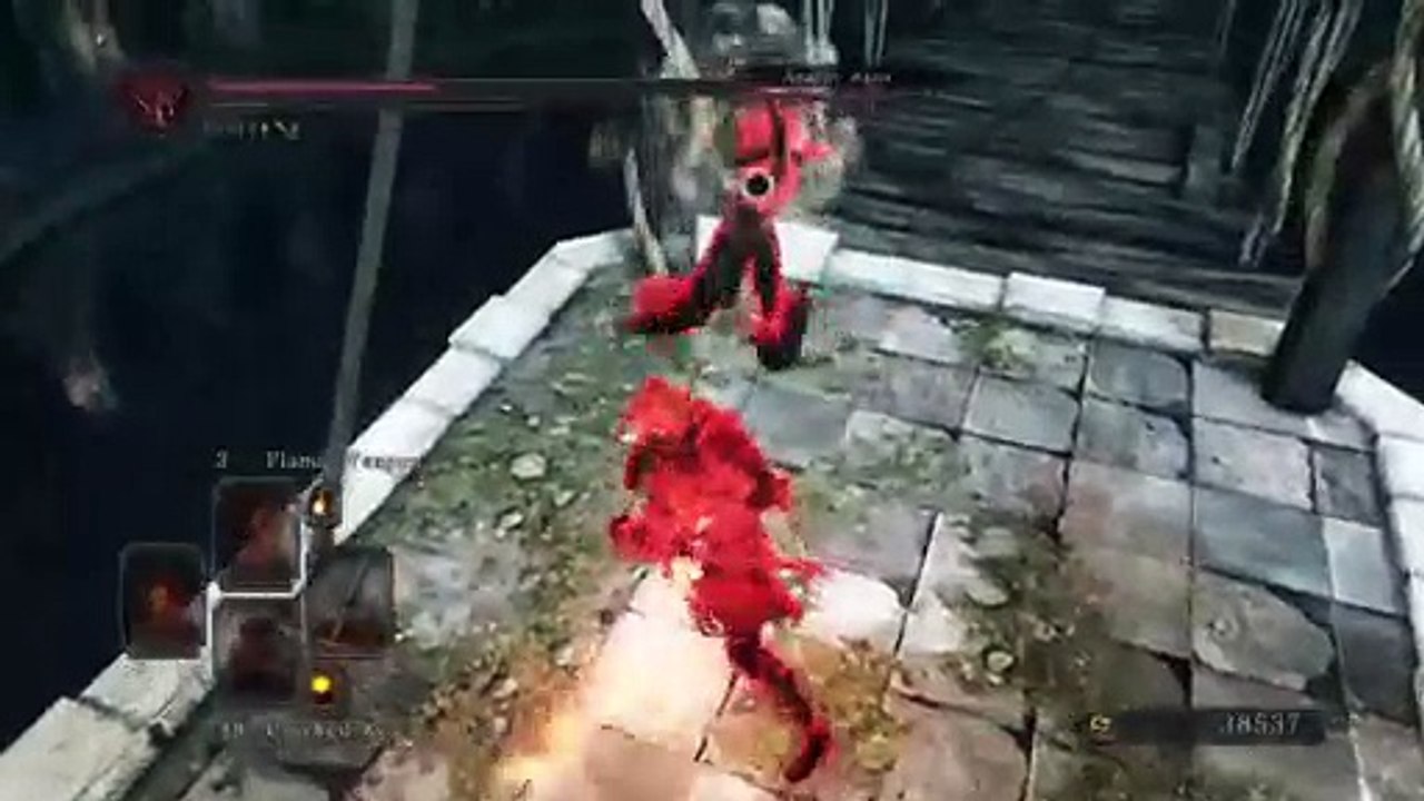 Ds2 pvp (14)