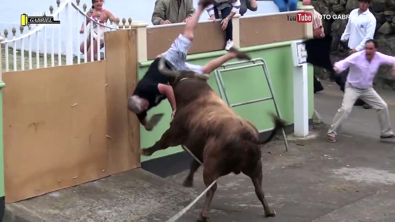 Un gros taureau attaque un homme qui filme avec son iPad