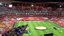 Super Dragões SL Benfica 1-1 FC Porto Momentos iniciais
