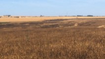 Un incendie dévaste 19 hectares de récoltes
