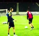 Zlatan Ibrahimovic Amazing Goal by Sweden