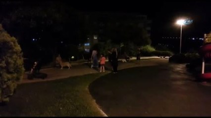 Ege'de Korkutan Depremler