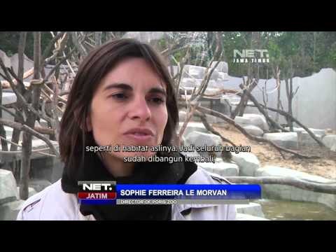 NET JATIM - Tempat tinggal hewan dirancang layaknya habitat asli di kebun binatang Paris