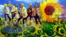 Moğollar - Sun Flower / Güne Bakan (Enstrümantal Müzikler HD) Mu©o