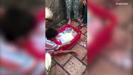 Prekëse_ Gjashtëvjeçari refuzon të largohet nga vëllai, pasi u braktisën nga nëna e tyre