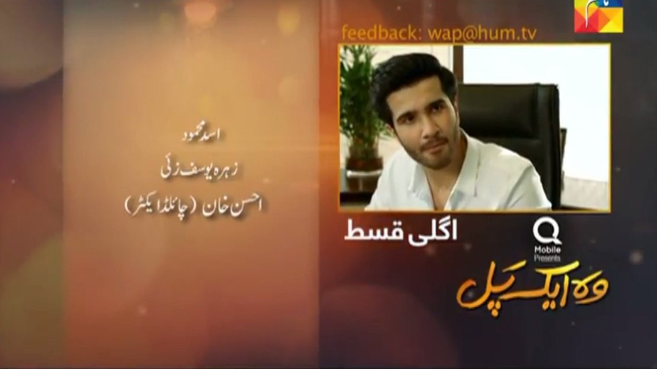 Woh Aik Pal Episode 16 Promo on Hum Tv