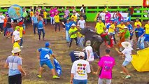 toros-merengue-170617