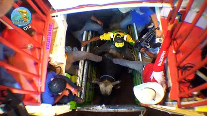 toros-milagro-170617