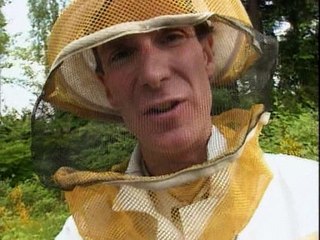 Bill Nye, The Science Guy - S 2 E 11 Insects