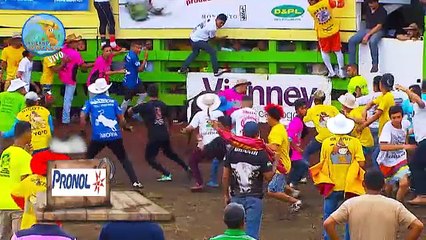 toros-levantines-170617