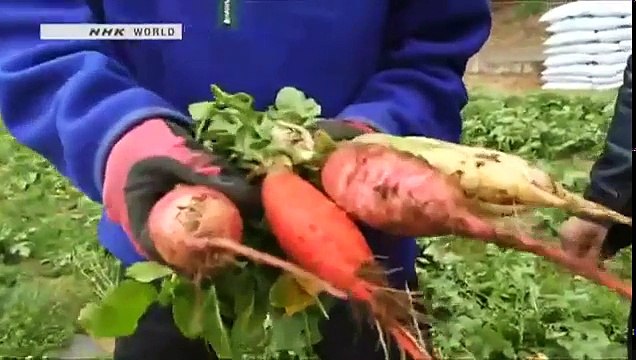 2014 04 29 Journeys in Japan A day trip from Tokyo - Kamakura