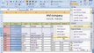 MS Excel 2007 Tutorial in Hindi   Home Tab Cells Block Insert,Delete,Format