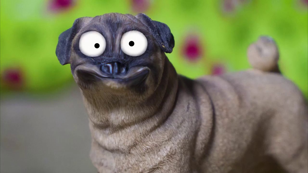 UN CHIEN BIZARRE